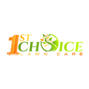 Logo Footer
